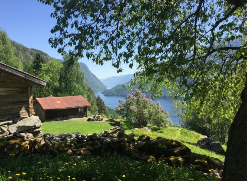 Dalen I Telemark Holiday Home With Garden Экстерьер фото