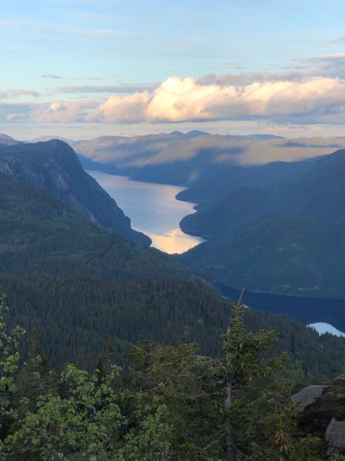 Dalen I Telemark Holiday Home With Garden Экстерьер фото